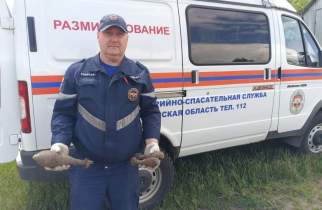 В Черемисиновском районе Курской области нашли 4 снаряда