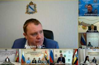В Курске деревья в парке «Патриот» годами росли в бетоне
