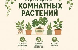 Курян зовут на ярмарку комнатных растений и цветочный обмен