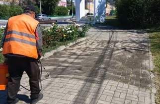 В Курске коммунальщики применили химию в борьбе с сорняками на тротуарной плитке
