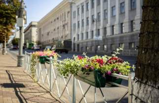 В Курске ограждения на улице Ленина украсят 500 саженцами