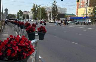 За полгода в Курской области закрылось вдвое больше компаний, чем открылось