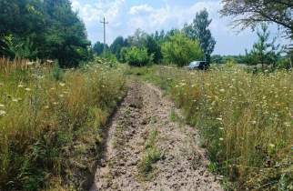 В лесах Курской области действует 3-й класс пожарной опасности