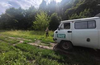 В курских лесах нарушителей оштрафовали на 173,5 тысячи рублей