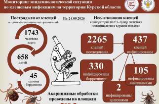 В Курской области количество выявленных случаев боррелиоза выросло до 45