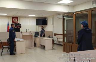 В Курской области неплательщицу алиментов отправили в СИЗО за неявку в колонию