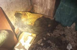 В Железногорске на балконе квартиры загорелся ковер