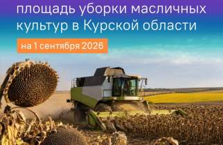 В Курской области скосили 444,7 тысячи гектаров зерновых