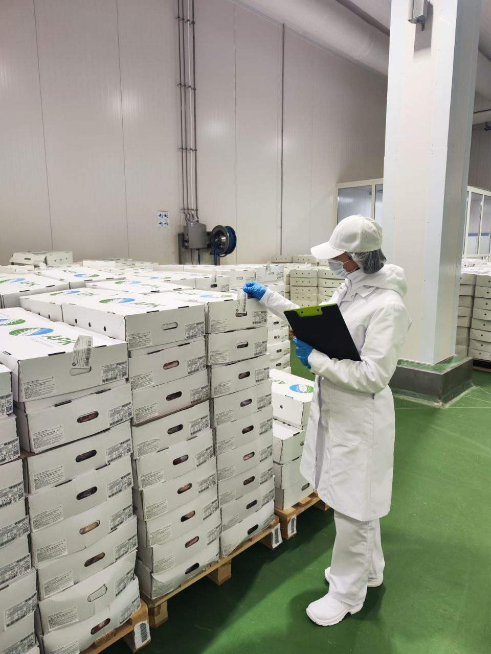 Экспорт вырос на 68%: что Курская область продает Европе и другим