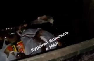 Расплодившиеся в Курске крысы начали прыгать на людей