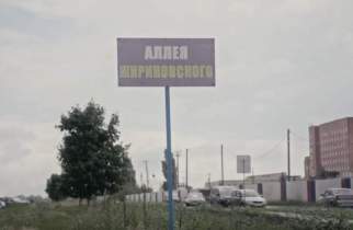 В Курске брошенную аллею Жириновского убрали активисты «Единой России»
