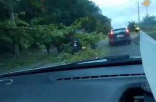 В Курске ветер повалил торговые ряды, дерево и вырвал дверь