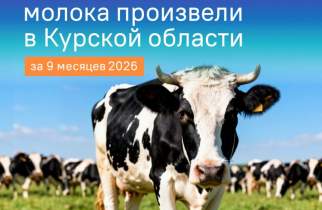 В Курской области производство молока выросло на 3,6%